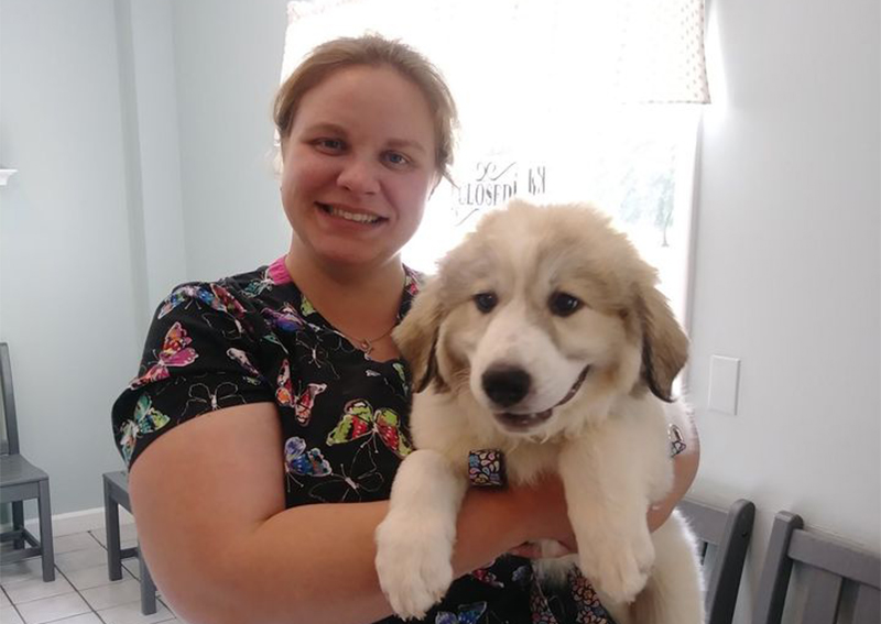 Carousel Slide 2: Dog Veterinary Care, Brockport